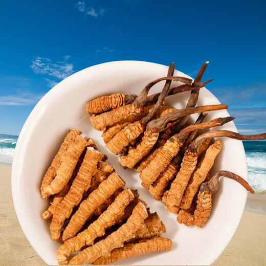 Cordyceps sinensis broken grass high altitude Tibetan area snowy areas selected Cordyceps sinensis pure meat section dried Cordyceps nourishing Cordyceps sinensis Tibetan area Cordyceps sinensis 20 grams
