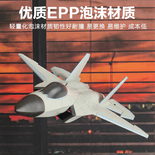 Tema Tongtong remote control fighter J-20 model aircraft model aircraft can fly fixed-wing aircraft toy children boy birthday gift 12 minutes - large J-35 four-way stunt 31 models