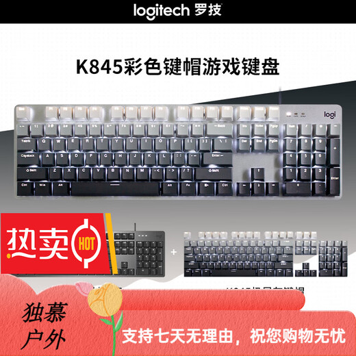罗技（Logitech）K845机械键盘 有线键盘 办公电脑打字键盘  电竞游戏发光全尺寸个 罗技K845青轴蓝色妖姬