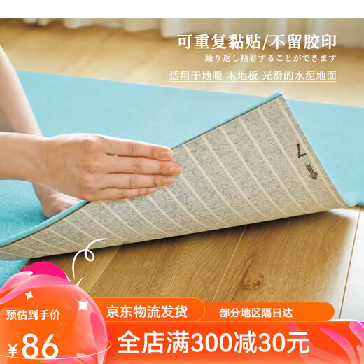 TOLI日本东理拼接地毯客厅ins卧室防滑自吸免胶无痕1cm厚40*40cm AK3527