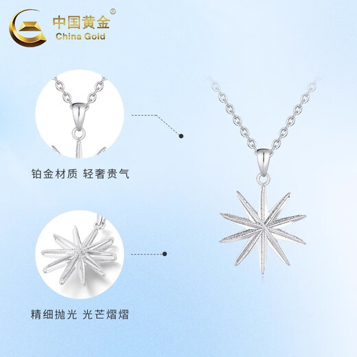 China Gold (CHINA GOLD) PT950 platinum star pendant for women, high-end platinum star necklace, light luxury niche birthday gift for girlfriend PT950 platinum star pendant, about 2.6g, free silver chain
