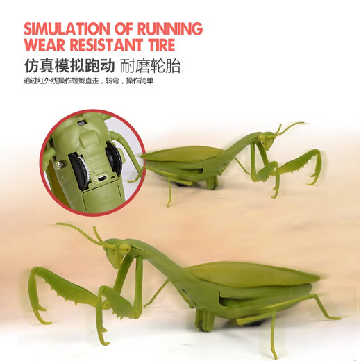 Mantis Fernbedienungssimulation Reptile Streichinsekten-Primar- und Sekundarschüler Spielzeug 3-7-8-12-jähriges Jungen und Mädchen klassische Version-Fernbedienungskontrolle Centipede Gelb und Schwarzes Modell 9901+ Snail upgradierte Version mit 22 Elektronik