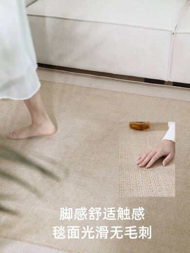 ZOCI carpet living room with no washing and erasable light luxury high-end bedroom floor mat living room carpet new cool floor mat summer Yimu-15780 160*230 comfortable touch