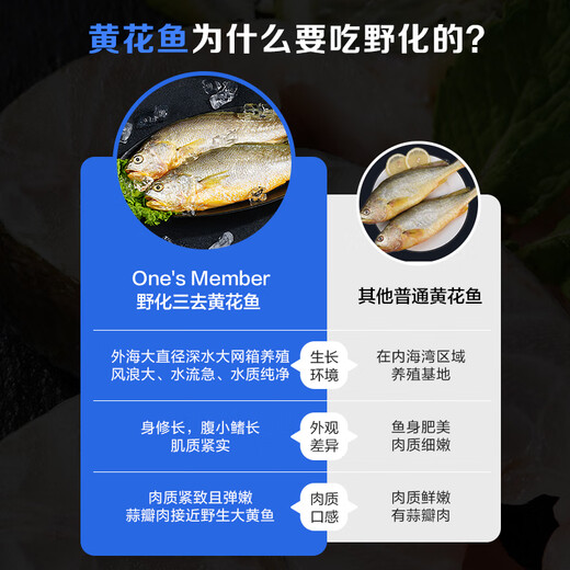 Member Store No. 1 Frozen deep-sea wild three-year-old yellow croaker Ningde large yellow croaker 800g/2 pieces boxed marine fish New Year's Eve