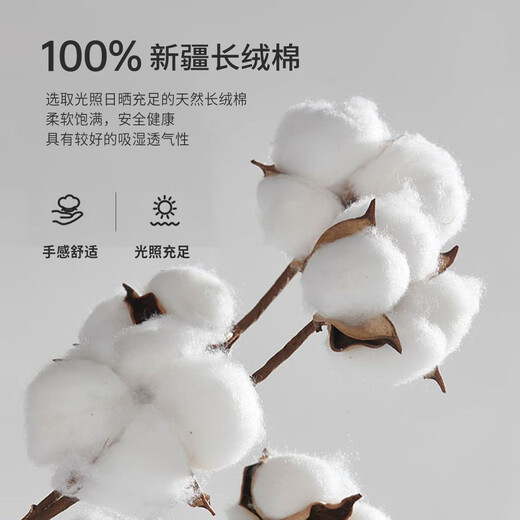 Shanshan long-sleeved POLO shirt men's spring and autumn new casual bottoming top pure cotton soft skin-friendly breathable middle-aged T-shirt men's clothing