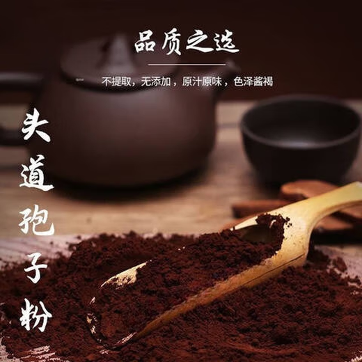 Matières premières de Pékin Tongrentang Ganoderma Lucidum Spore Powder Head Dou Break Wall Ganoderma Lucidum Powner Authentic Spore Huile 500G 100G GANODERMA LUCIDE LUCID