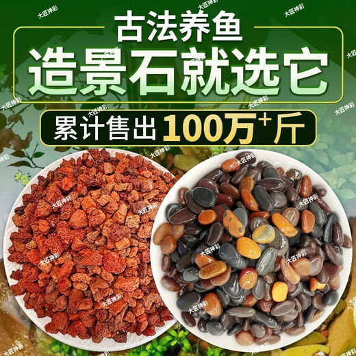 Natural volcanic stone stream stone fish tank decoration package natural native aquatic landscaping bottom sand special stone large grain 5Jin Jin equals 0.5kg volcanic stone + 5Jin Jin equals 0.5kg stream stone king fried combination ancient method of fish farming stabilizes water quality without changing water