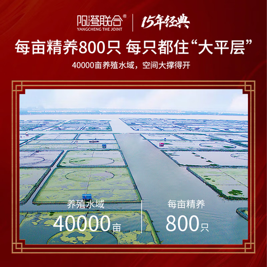 【礼券】阳澄联合大闸蟹礼券蟹卡螃蟹券礼品卡礼盒海鲜水产 9855型公6.0两 母5.0两 5对10只