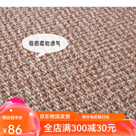 TOLI日本东理拼接地毯客厅ins卧室防滑自吸免胶无痕1cm厚40*40cm AK3527