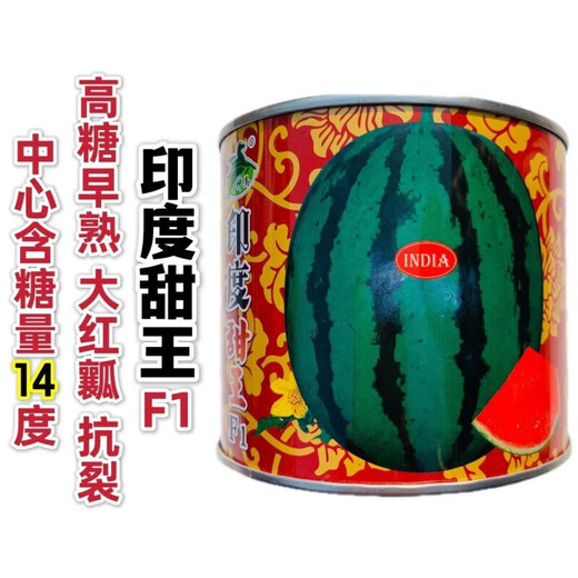 Indian Sweet King Watermelon Seeds Resistant to Cracking Large Fruit Big Red Flesh Watermelon Seeds High Sugar Early Maturity Large Flower Skin Melon Indian Sweet King Watermelon Seeds 800 capsules
