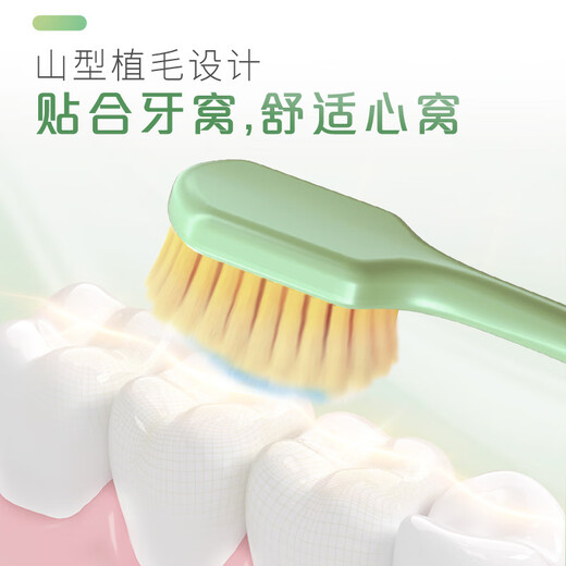 高露洁（Colgate）【孙颖莎同款】宽密薄护龈超细软毛宽头牙刷*2成人牙刷随机发货