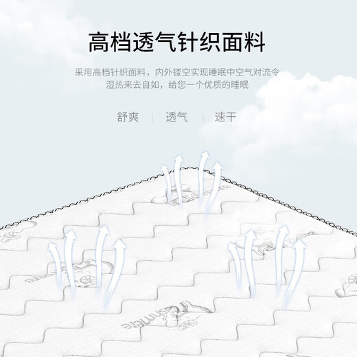 品族3e椰棕透气床垫子硬棕垫薄床垫偏硬无胶水902 1.8*2.0米20cm厚2