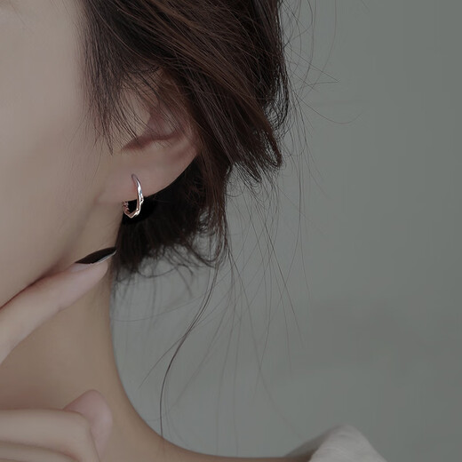 愄汧999 Silver Needle Earrings Earrings Hoop Earrings Birthday Gifts Girls 2025 New Jewelry Ornaments Earrings Men Twist Earrings Silver Pair