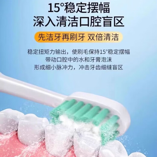 Xiaomi Baby Ultrasonic Teeth Cleaner Home Teeth Cleaner Dental Calculus Portable Cleaning Tooth Stain Tea Stains Dirt Calculus Artifact Flusher Tooth Cleaner Electric Toothbrush Haoyuebai 2 Brush Heads + Tip + Oral Mirror + USB Data Cable