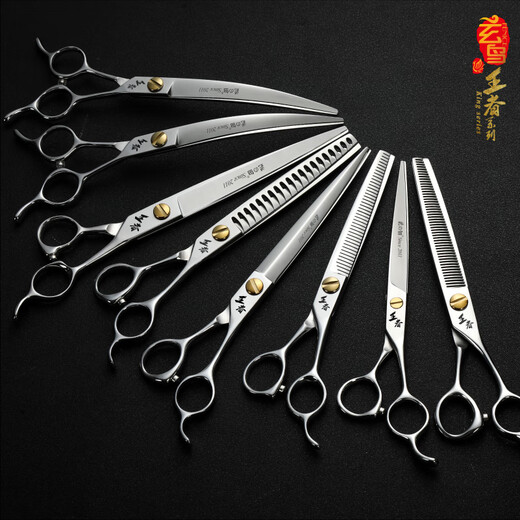 Black Bird King series pet scissors, straight cut, curved scissors, dental scissors, fish bone scissors, fluffy scissors, high-end scissors for beauticians, dental scissors 7 inches