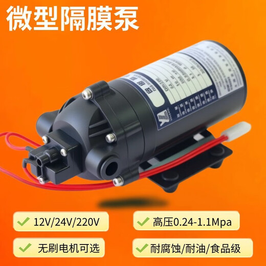 Shanghai manufacturer micro membrane pump micro DC water pump high pressure DC spray film pump high pressure water pump DP-3524V brushless 3