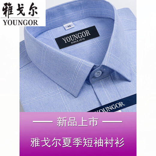 雅戈尔旗舰官方店衬衫男短袖夏季薄款中年男装寸衫职业休闲衬衣透气 短袖DX6636 45 建议【210-230斤】