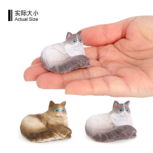Shantoulin Village Children's Toy's Simulation Modèle Animal MinI Cat Ragdoll Cat Trois chat Cat sans cheveux Éducation précoce