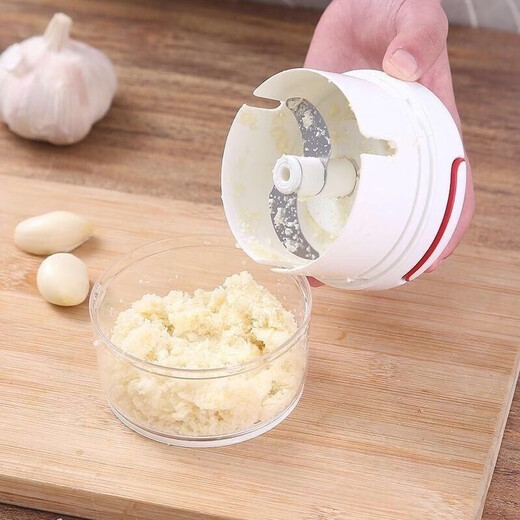 Ye Yu's household garlic press, manual garlic masher, garlic grinder, mini garlic grinder, garlic grinder, free ordinary model 1 pack without blades