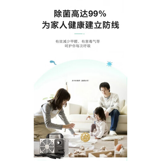 Ozone disinfection machine generator new house decoration household formaldehyde removal air purifier car interior deodorization household 220V 10g 0~50 square meters