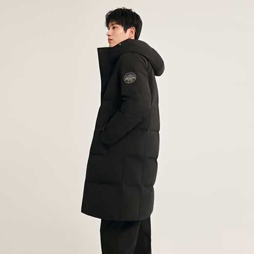 Fliegen im Schnee Herbst und Winter Orientalischer schlichter Luxusstil Modische lässige bequeme Silhouette Herren H-Typ bedruckter Stehkragen mit Kapuze und Daunen