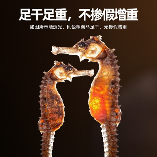 海马【CAWC认证】海马干货炖汤煲汤泡酒料 海马  1对（约1-2g）