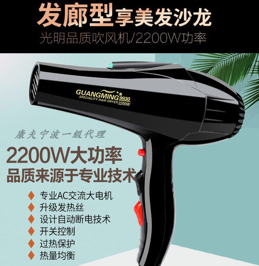 Sèche-cheveux Guangming RCT9930 High Power 2200W Hot Air Air Maison de coiffure High Wind Power Sécheur rapide Guangming 2200W Air chaud et chaud 8800