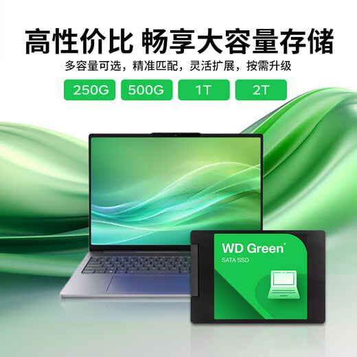 Western Digital (WD) Disque SSD vert SATA3.0 interface disque vert ordinateur portable disque dur de bureau haute vitesse faible consommation d'énergie SATA3.0 1 To