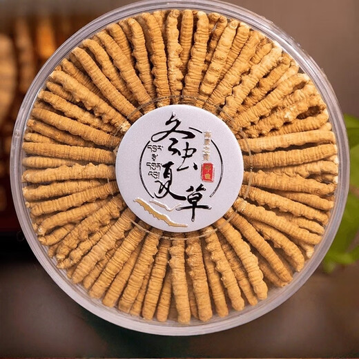 高端礼盒装冬虫夏草送长辈送领导滋补品藏区冬虫夏草干虫草50根 50根【3根一克】高端礼盒装