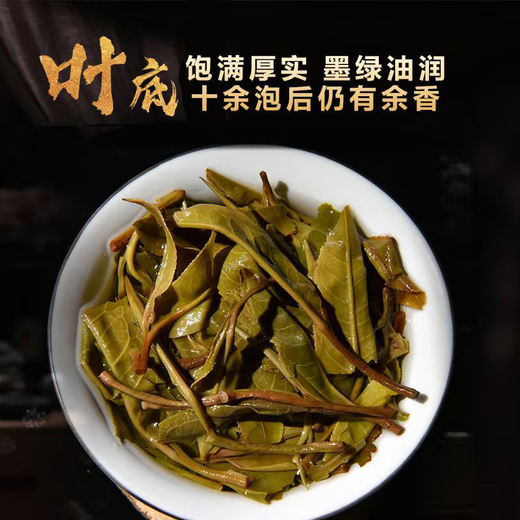 2022 Jingmaishan Pu'er Raw Teekuchen Blattgold, ein Stück (1 Stück 357G)