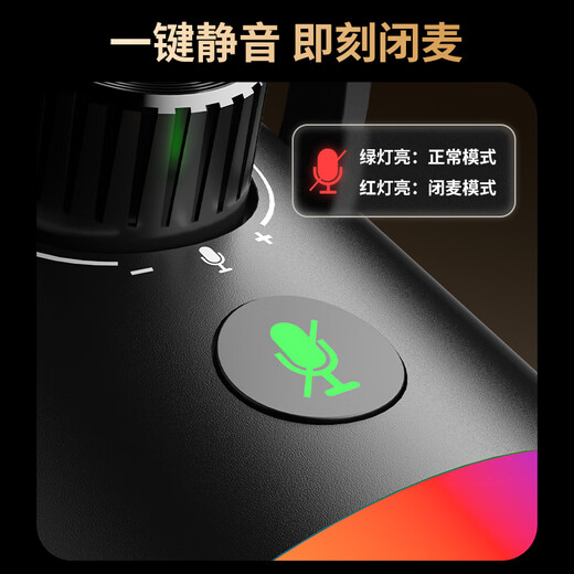 Newman ZM13 dynamic microphone computer built-in sound card live broadcast microphone recording dubbing radio microphone USB/XLR dual-mode game noise reduction cantilever version microphone dedicated to anchors