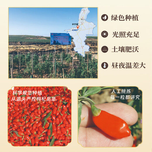 正宗中宁枸杞无熏硫不染色宁夏红枸杞子干果泡茶大颗粒养生滋补药 【体验】中宁特级红枸杞 10g