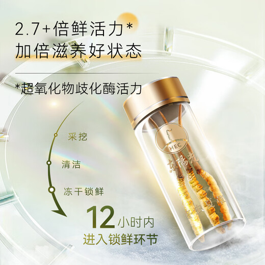 Dongyangguang Cordyceps sinensis 3-4 raíces/G6G Aproximadamente 20 raíces Cordyceps Caja de regalo de alta gama Suplementos nutricionales para ancianos y padres