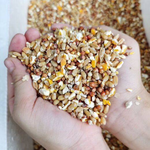 Chicken feed wholesale, sorghum, wheat and corn minced mixed to feed chickens, corn crushed dregs, corn grits, chickens, ducks, pigeons, 3 Jin Jin is equal to 0.5 kg (sorghum + wheat + corn minced mixed)
