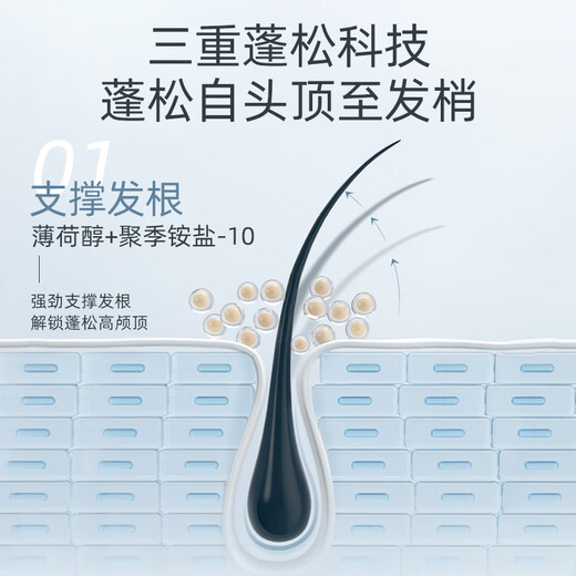 采乐香氛控油洗发水氨基酸去油屑止痒洗发露蓬松洗发液750ml
