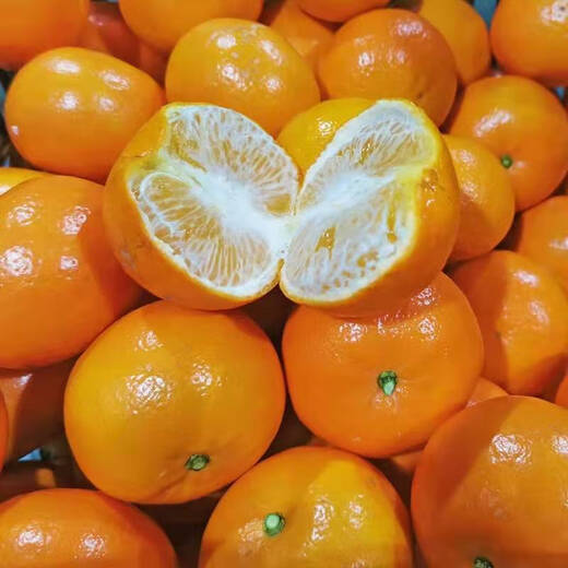 Guangxi Wogan Super Pure Sweet Thin Skin Juicy Wogan Fresh Seasonal Fruit Citrus Orange 5Jin Jin equals 0.5kg Single fruit 100-130g
