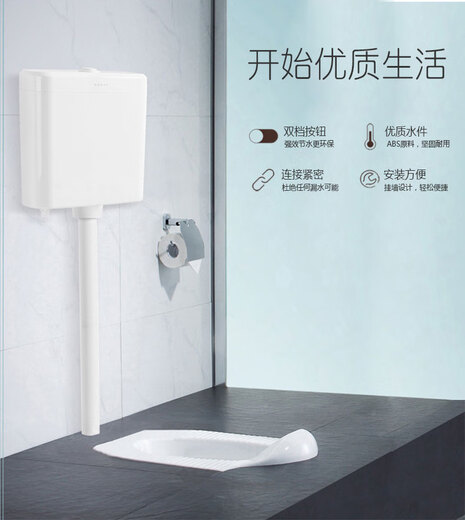 科勒旗下卡丽11978T/21968T/76756T通用家用商用蹲坑蹲便器冲水箱 11978T-M-WK商用明装水箱