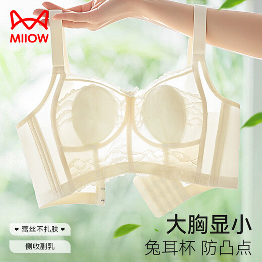 Les gros seins de chat montrent de petits seins pour les femmes, des sous-vêtements pour les femmes, un style mince d'été, un rassemblement, des seins latéraux, une affaissement, un beau soutien-gorge d'oreille de lapin, ultra mince