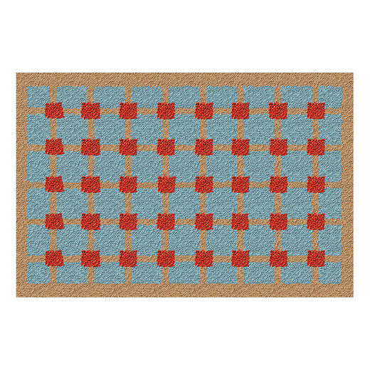 Budisi Middle Ages Bathroom Door Mat Thickened Water-Absorbent Foot Mat Bathroom Non-Slip Floor Mat Home Bedside Blanket 70*45CM