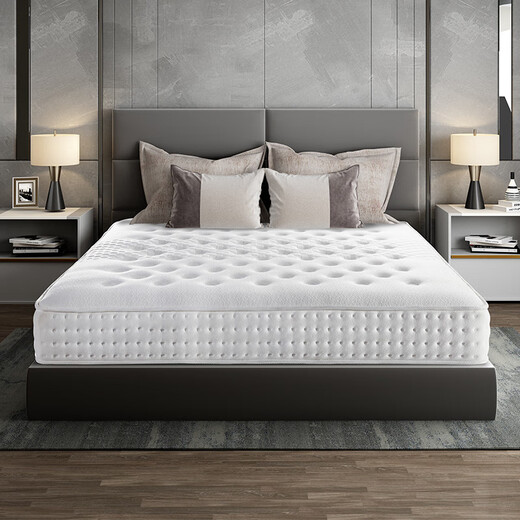 
Hilton Five-Star Hotel Mattress Natural Latex Independent Spring Mattress Soft and Hard Dual Use Simmons Home Mattress Soft and Hard Dual Use 1350*2000