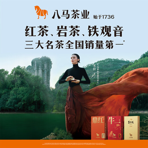 八马茶业乌龙茶 安溪铁观音 清香型一级500g 罐装茶叶 非遗传承技艺