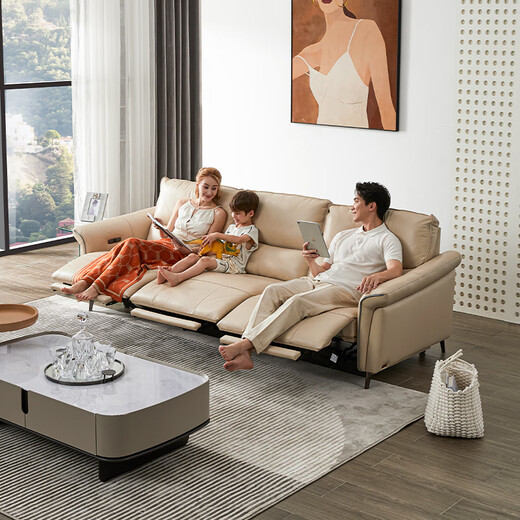 
Zhihuashi First Class Zero Wall SE-U11167BM Zero Modern Living Room Top-Level Cowhide Electric Function Sofa Moonlight White Three-person 269cm - Double Electric