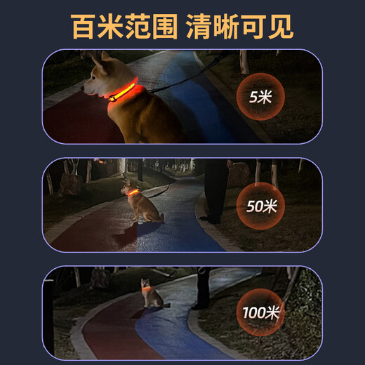 Cute Star Pet Dog Luminous Collar LED Neck Collar Long Life Cat Teddy Golden Fur Border Collie Pet Supplies Size S