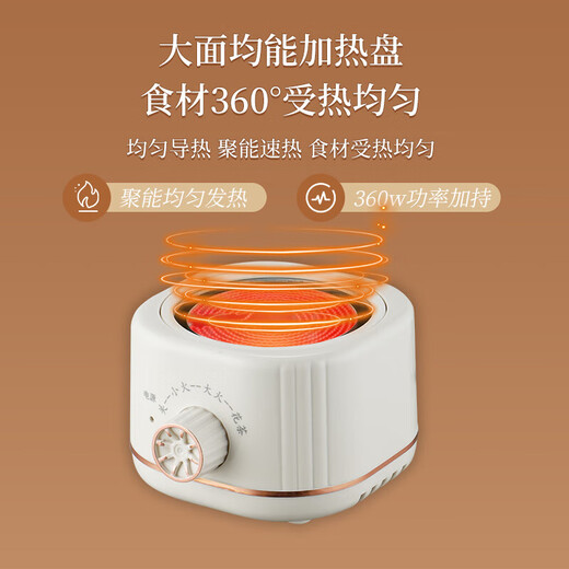 Health kettle, kettle, hot water kettle, thermostatic kettle, teapot, teapot, all-in-one, fully-glass, fully-automatic, small home, multi-functional office, large capacity, silver-plated 0.6L