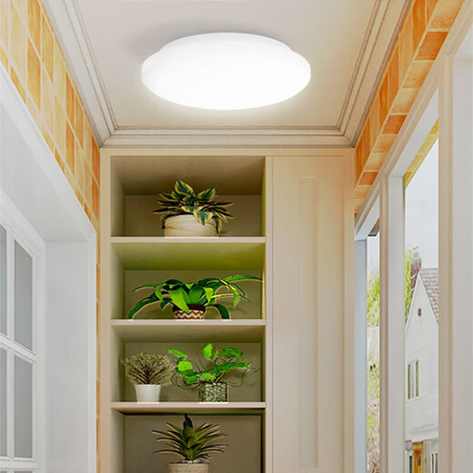 Philips LED ceiling light ultra-thin three-proof balcony light bedroom aisle simple corridor light Hengyan insect-proof and mosquito-proof 36W Zhongguang