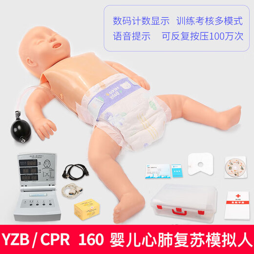 
CPR simulation half body CPR first aid artificial respiration training model body Medical model rubber man YZB/CPR15690 adult model (box)