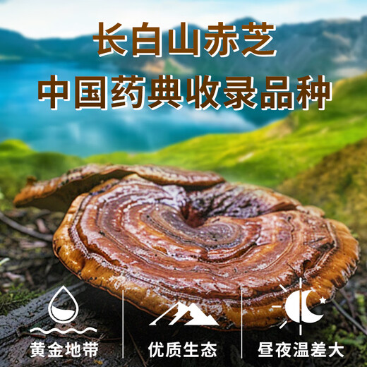 修正破壁灵芝孢子粉正品旗舰店长白山头道赤灵芝术后恢复营养品送礼cc 四瓶装【低至62元/瓶】