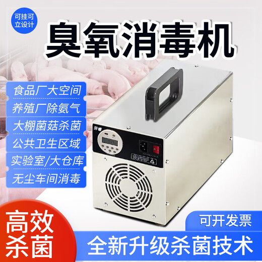 Fenrui Fenrui ozone disinfection machine generator home decoration formaldehyde removal food factory small air sterilization purifier 40g small ozone disinfection machine smart time period timing model