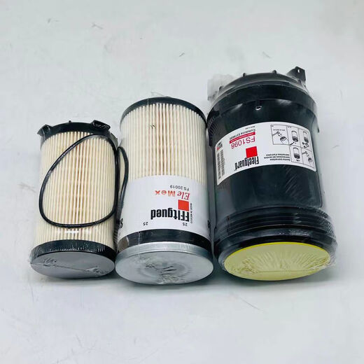 FF266FS1098FS20019200/215D Cummins diesel filter element filter LF3970 FS1098 diesel filter