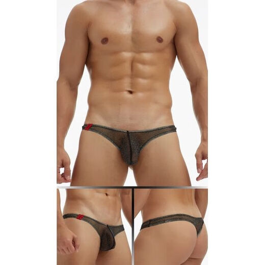 Banfishi Summer Japanese, Korean, European and American GAY Men's Underwear European and American Fine Mesh Pouch Low-Waist T-Pants T-Pants Large Size Black XL XXL